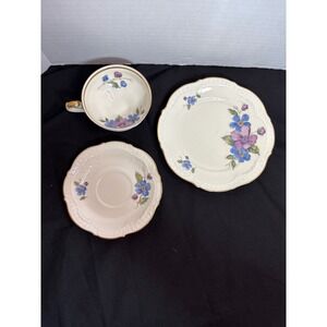 Vintage Schumann Arzberg Floral Trio Set Tea Cup Saucer Plate Gold Trim